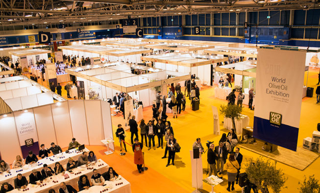 El negocio del sector del aceite de oliva