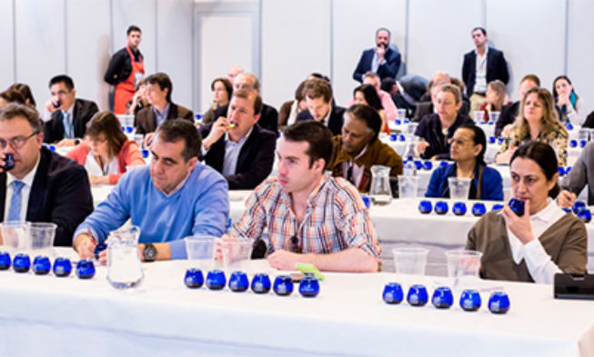 Catas y conferencias de nivel internacional en el Encuentro Mundial del Aceite de Oliva