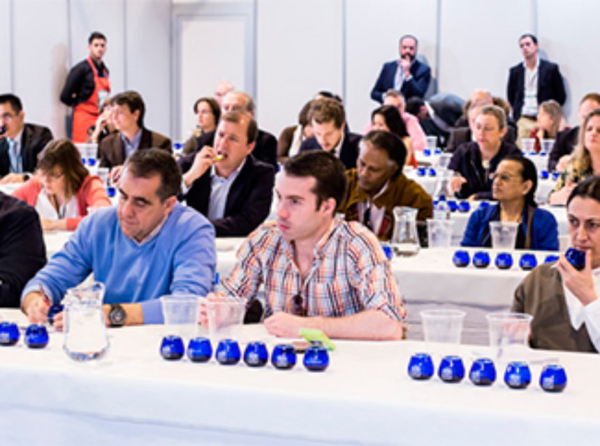 Catas y conferencias de nivel internacional en el Encuentro Mundial del Aceite de Oliva