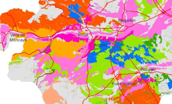 La zonificación de la garnacha en la DO Campo de Borja La zonificación de la garnacha en la DO Campo de Borja