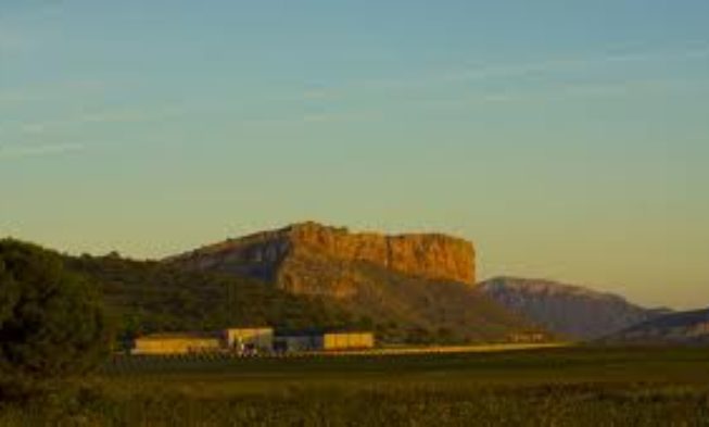 Las bodegas Hijos de Juan Gil prevén elaborar 8 millones de kilos de uva en la vendimia 2013 Las bodegas Hijos de Juan Gil prevén elaborar 8 millones de kilos de uva en la vendimia 2013