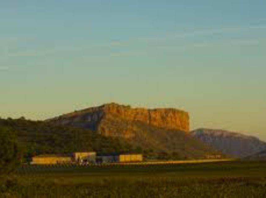 Las bodegas Hijos de Juan Gil prevén elaborar 8 millones de kilos de uva en la vendimia 2013
