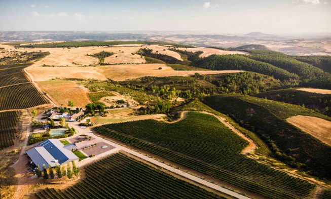 Un maridaje a la altura para presentar las nuevas añadas Finca Río Negro