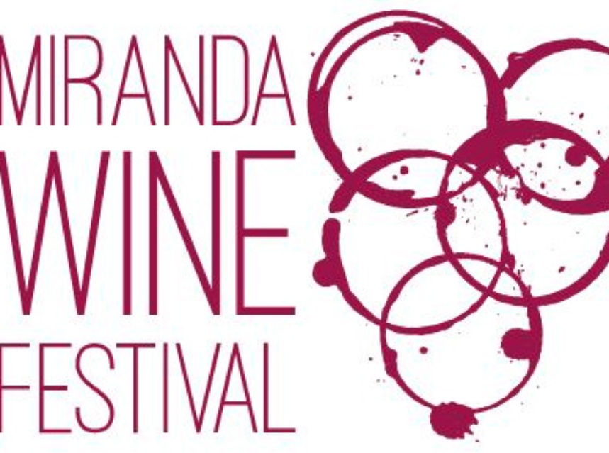 Miranda Wine Festival: vino y música en Burgos