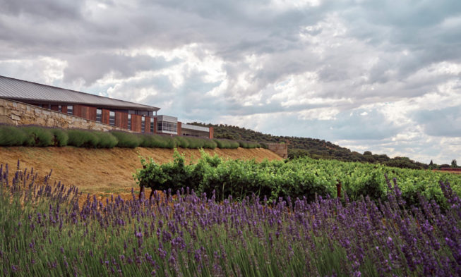 Tres propuestas de enoturismo para disfrutar del verano de una forma diferente Tres propuestas de enoturismo para disfrutar del verano de una forma diferente