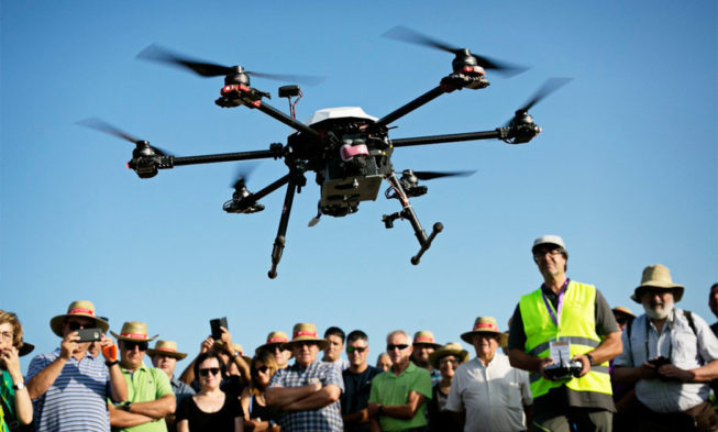 Utiel-Requena apuesta por la viticultura de precisión y la biodiversidad en sus jornadas anuales