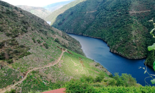 «Catar, Catar y volver a Catar» en la XXV edición de la Cata de los Vinos de Ribeira Sacra, el sabor de un paisaje Catar, Catar y volver a Catar en la XXV edición de la Cata de los Vinos de Ribeira Sacra