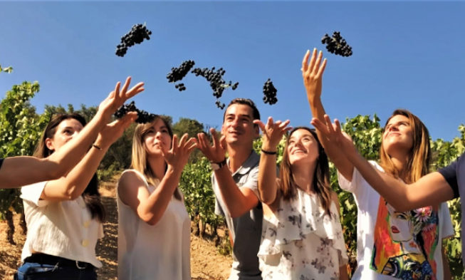 Vendimia por diversión Vendimia por diversión