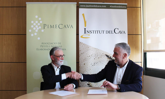 AECAVA, la nueva marca que reunirá a las bodegas del Institut del Cava y Pimecava