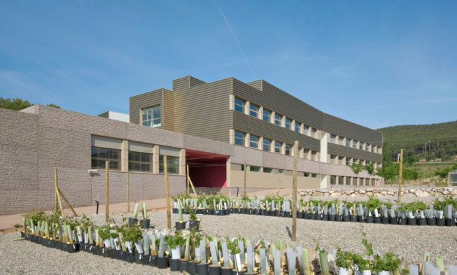 Las principales preocupaciones de la investigación vitivinícola en los seminarios online del ICVV