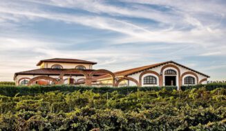 España pierde el 8% de sus bodegas en solo 17 años España pierde el 8% de sus bodegas en solo 17 años