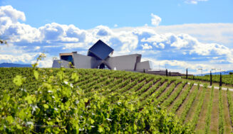 Sommos se adhiere a IWCA – International Wineries For Climate Action