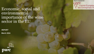 El sector vitivinícola de la UE representa el 62 % de la producción mundial de vino