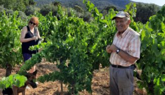 El viñedo envejece: el 65% de los viticultores supera los 51 años y el sector clama por un relevo generacional