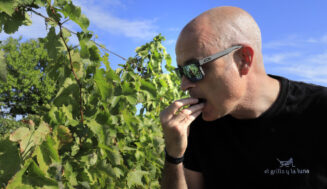 Reducción de fitosanitarios en las viñas del Somontano: proyecto SOMID