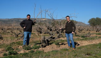 Lagravera: suelos de yeso, vinos brisados y variedades ancestrales