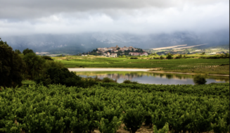 La DO Ca Rioja estudia amparar vinos de menor graduación