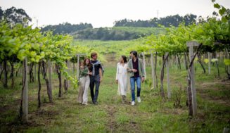 Palmarés de los VII Premios de Enoturismo Rutas del Vino de España