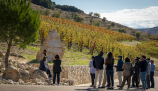 Cuesta de las Liebres de Pago de Capellanes, un tempranillo apasionante