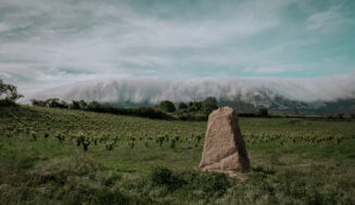 Curso Introductory de The Institute of Masters of Wine en Rioja