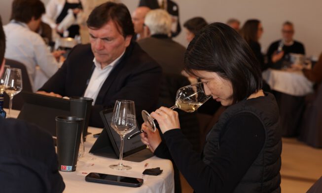 Cariñena acoge el XIII Concurso Garnachas del Mundo