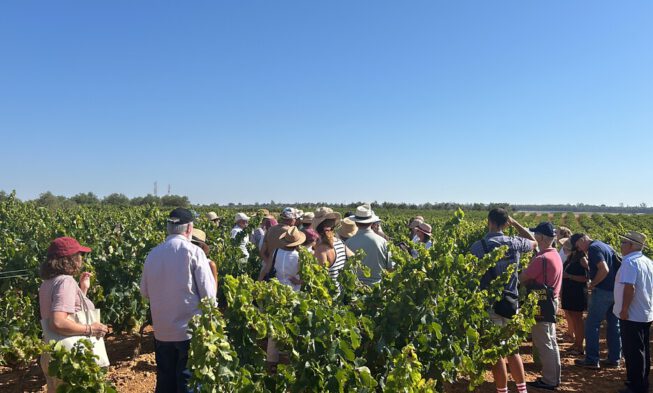 Curso universitario sobre vino y vinagre DOP Condado de Huelva