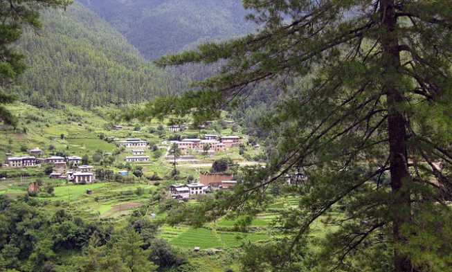 Bután: El viñedo del Himalaya