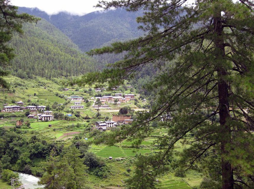 Bután: El viñedo del Himalaya