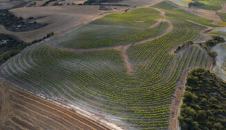 Roda estudia el sistema de cultivo de viñedo en línea clave (keyline)