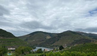 Los vinos portugueses afianzan prestigio en el mundo por calidad y originalidad