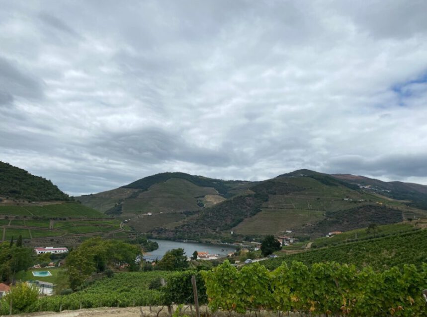 Los vinos portugueses afianzan prestigio en el mundo por calidad y originalidad