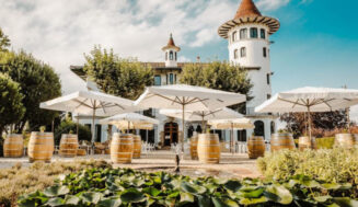 Codorniu añadirá un plus climático de +45% a la uva que compre