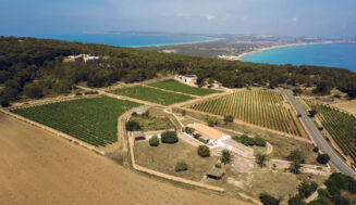 Terramoll, nueva bodega de Vintae en Formentera