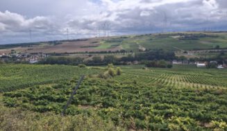 Neiss: La originalidad de los vinos más septentrionales del Palatinado