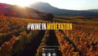 El sector del vino español lanza la campaña #VidaConModeración ante el cuestionamiento social del alcohol