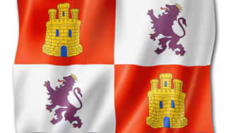 Castilla y León cosecha optimismo: La vendimia 2025 y la estrategia para un futuro complejo