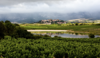 La singularidad de los vinos de la Subsierra riojana
