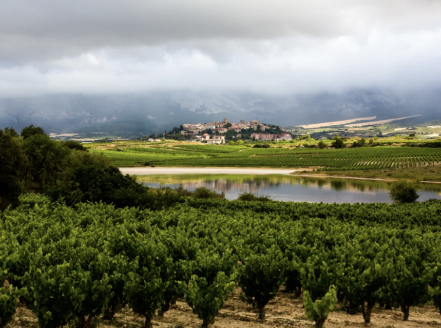 La singularidad de los vinos de la Subsierra riojana