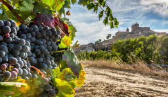 La singularidad de los vinos de la Subsierra riojana (2)