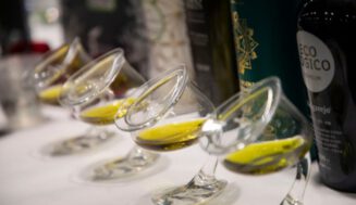 España prevé un 32% de la zafra de aceite de oliva con 1,38 millones de toneladas España prevé un 32% de la zafra de aceite de oliva con 1,38 millones de toneladas