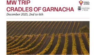 Una veintena de Masters of Wine recorrerán España para conocer el potencial de la Garnacha