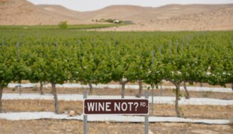 El renacer del vino en la Tierra Santa