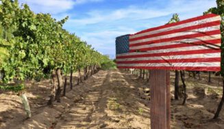Nueva legislación propone fortalecer los estándares de etiquetado para el vino «Americano»