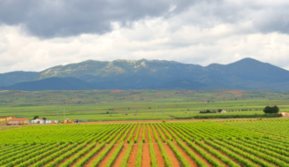 Samantha Vallejo-Nágera estrena documental para descubrir la «pequeña Toscana» de la DO Cariñena