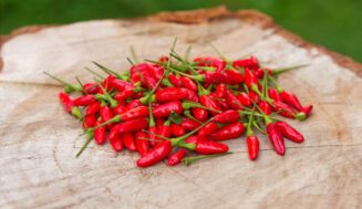 El Ají guaguo cubano