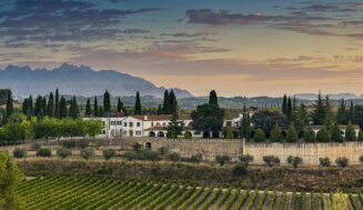 Juvé & Camps abandona la D.O. Cava y se une a Corpinnat para reforzar la calidad del espumoso catalán