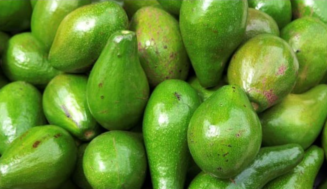 El delicioso aguacate cubano