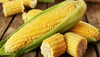 Nuestro sabroso maíz del campo a la mesa