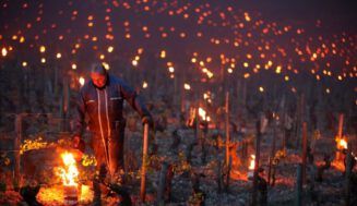 Primavera 2026: la helada silenciosa que amenaza la cosecha del hemisferio norte