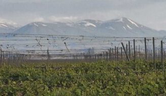 Armenia, donde el vino dio sus primeros pasos